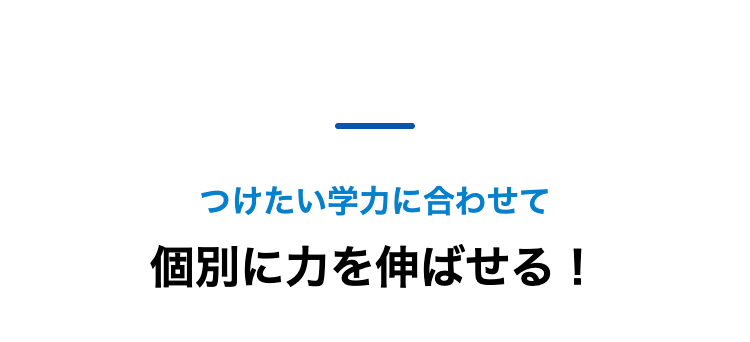 つけたい学力に合わせて
個別に力を伸ばせる!
