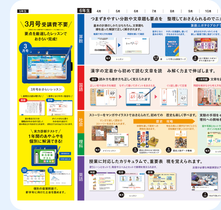 年間ラインナップ