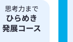 思考力まで
ひらめき
発展コース