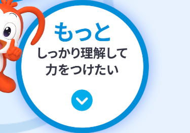 もっと
しっかり理解して
力をつけたい