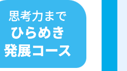 思考力まで
ひらめき
発展コース