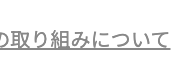 の取り組みについて